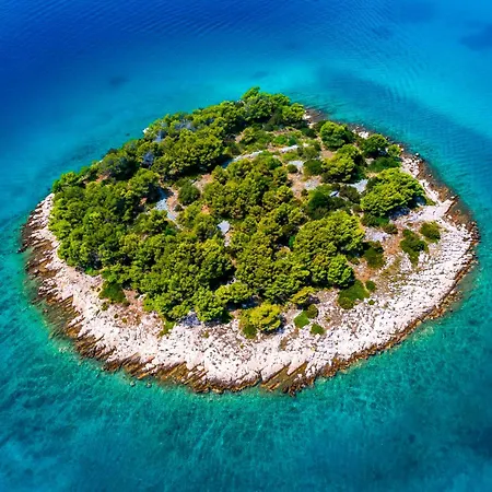 With Pool 8 Guests Near Tisno Island Murter *