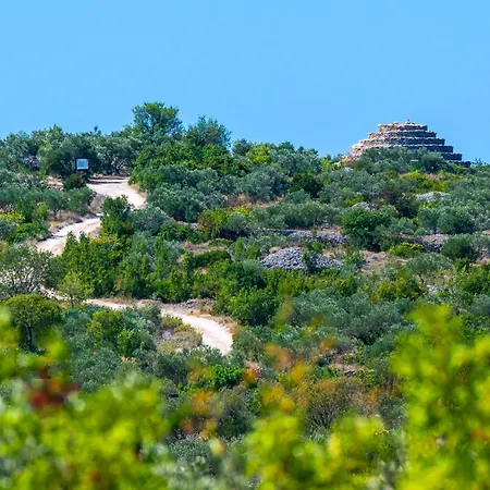 With Pool 8 Guests Near Tisno Island Murter יזרה